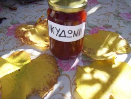 ΓΛΥΚΟ ΚΥΔΩΝΙ